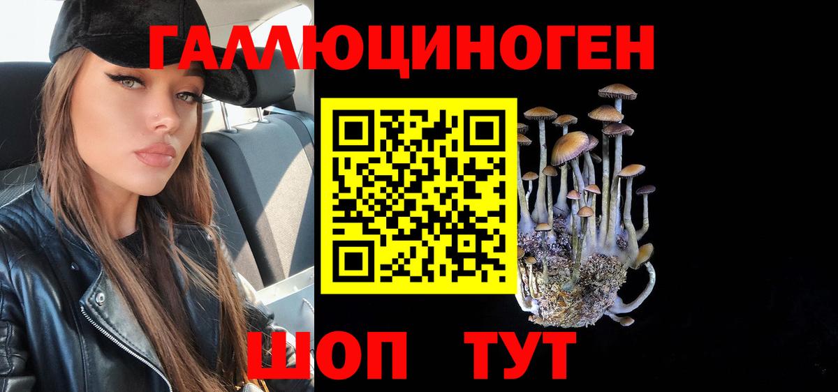 Псилоцибиновые грибы мицелий Россошь